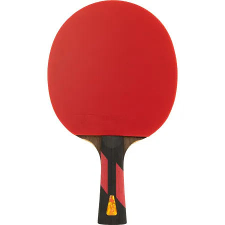Ракетка для н/т DOUBLE FISH 7A+C, для професс.,ITTF Appr.,накл.2,1мм,+ 2 мяча V40+мм ITTF Appr за 3&nbsp;559.80 ₽ купить в Тамбове