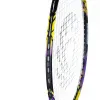Ракетка бадм. TORRES Carbon PRO6, BD20521,для продв., стерж/обод из карбона,со струнами, фиол за 4&nbsp;477.80 ₽ купить в Тамбове