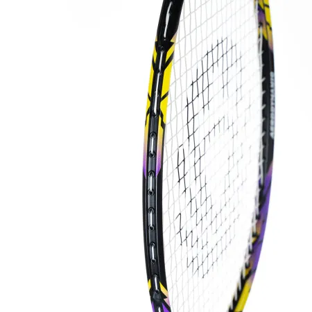 Ракетка бадм. TORRES Carbon PRO6, BD20521,для продв., стерж/обод из карбона,со струнами, фиол за 4&nbsp;477.80 ₽ купить в Тамбове