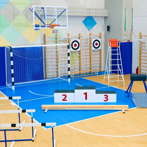 Щит для метания навесной на шведскую стенку (фанера) 700х700 ZAVODSPORTA за 8&nbsp;960 ₽ в Тамбове