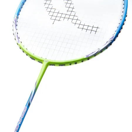 Ракетка для бадм. DOUBLE FISH JINQUE QT-1601, для продвинутых,карбон со струнами,литая,голубой за 3&nbsp;015.80 ₽ купить в Тамбове