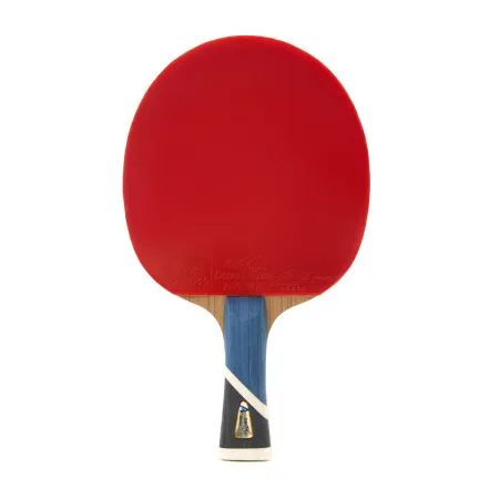 Ракетка для н/т DOUBLE FISH 5A+C, для продвин, ITTF Appr, накл. 2,1 мм, конич. ручка+ 2 мяча V40+мм за 2&nbsp;779.50 ₽ купить в Тамбове