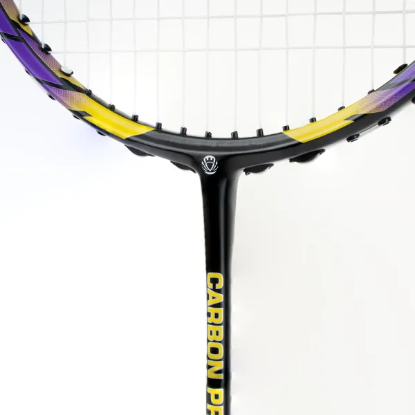 Ракетка бадм. TORRES Carbon PRO6, BD20521,для продв., стерж/обод из карбона,со струнами, фиол за 4&nbsp;477.80 ₽ в Тамбове