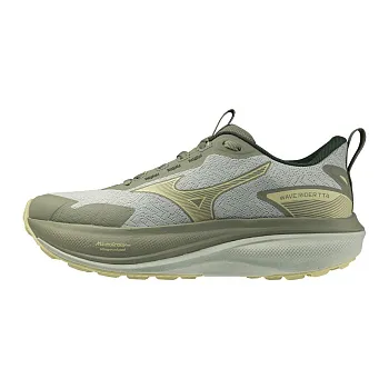 Кроссовки MIZUNO WAVE RIDER TT 4 (W), J1GW2632-71