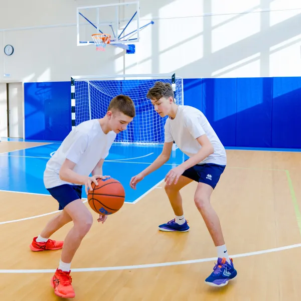 Щит баскетбольный игровой (монолитный поликарбонат) 1050х1800 мм ZAVODSPORTA за 47&nbsp;600 ₽ в Тамбове