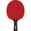 Ракетка для н/т DOUBLE FISH Black Carbon King Racket 3***, для професс.,ITTF Appr.,накл.2,1,мм за 4&nbsp;346.90 ₽ купить в Тамбове